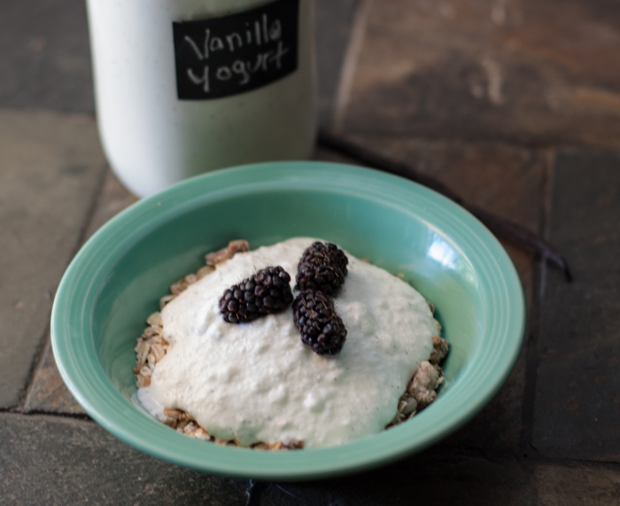 DIY Foods: Homemade Vanilla Yogurt from Scratch!